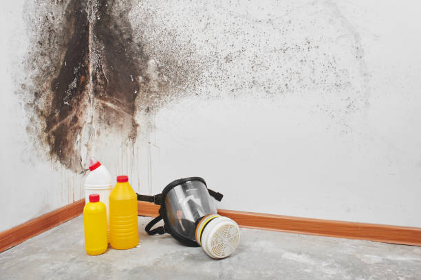 Water Damage Restoration in San Juan, TX